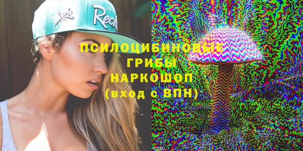 таблы Няндома