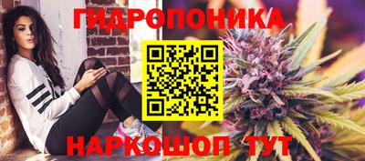 соль ск Гусь-Хрустальный