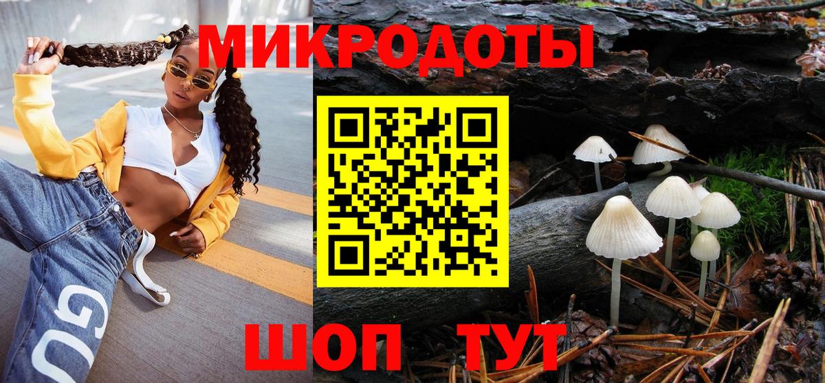 Казань  Псилоцибиновые грибы Cubensis  Вход с VPN 