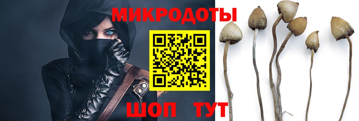 Псилоцибиновые грибы Magic Shrooms  Псилоцибиновые грибы прущие грибы  Казань 